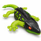 Goyal's RC Wall Climbing Lizard Toy with Remote Control | LED Eyes | Wall & Ceiling Crawling Rechargeable Lizard | Indoor Climbing Toy for Kids, Boys & Girls