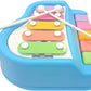 Goyal's Musical Multi Keys Xylophone and Piano, Non Toxic, Non-Battery for Kids & Toddlers, Plastic (5 Keys Blue)