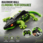 Goyal's RC Wall Climbing Lizard Toy with Remote Control | LED Eyes | Wall & Ceiling Crawling Rechargeable Lizard | Indoor Climbing Toy for Kids, Boys & Girls